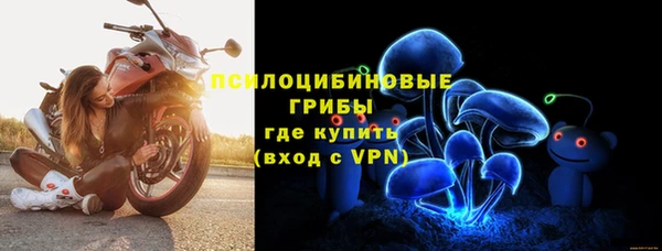 jwh Алзамай